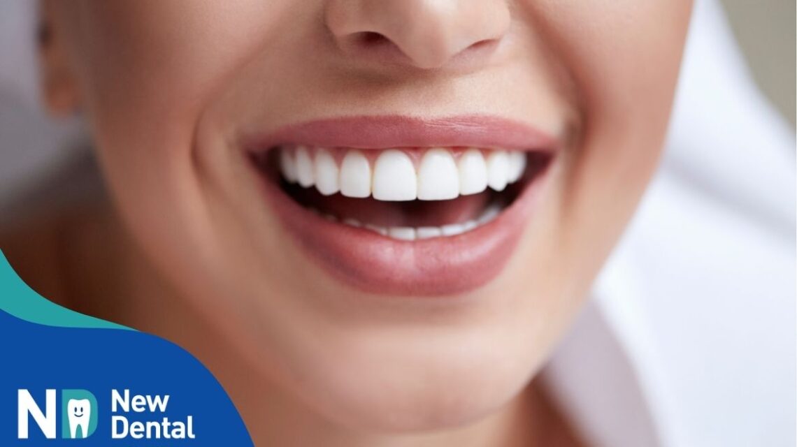 Come sono fatti e a cosa servono i denti